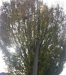 Bebraer Teich, Stra&szlig;enbeleuchtung Hammatalstra&szlig;e und mehr (Foto: Karl-Heinz Herrmann)