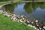 Den Parkteichen von Sondershausen fehlt (e) das Wasser (Foto: Karl-Heinz Herrmann)