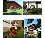 Gro&szlig;e Beteiligung am 26. "Frankenh&auml;user Blumensommer" 2020 (Foto: Peter M&ouml;bius)