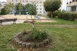 Ein Apfelbaum f&uuml;r den Spielplatz (Foto: K. Sieber)