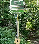 In Scharen in die Natur (Foto: Karl-Heinz Herrmann)