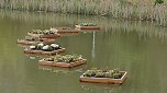 Schwimmende G&auml;rten  (Foto: Ulrich Reinboth )