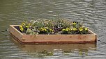 Schwimmende G&auml;rten  (Foto: Ulrich Reinboth )