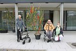 Maibaumschm&uuml;cken in der AWO Seniorenresidenz Haus am Wippertor (Foto: Katrin Busch)