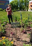 Ein "MILPA"-Beet für Sondershausen (Foto: Katrin Sieber) Ein "MILPA"-Beet für Sondershausen (Foto: Katrin Sieber)