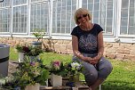Heike Vollrodt in der Orangerie in Bendeleben (Foto: Eva Maria Wiegand)