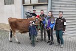 Adventsausflug mit dem Ochsen Tabaluga (Foto: S.Dietzel)