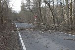 Sturmsch&auml;den auf der Landstra&szlig;e (Foto: S. Dietzel)