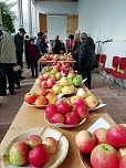Obstsortentag in der Orangerie (Foto: Karsten Stiehler) Obstsortentag in der Orangerie (Foto: Karsten Stiehler)