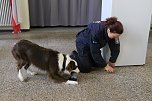 Besuch bei der Nordh&auml;user Hundestaffel (Foto: agl)