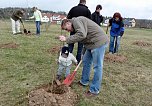 Baumpflanzung Bad Frankenhausen (Foto: Karl-Heinz Herrmann) Baumpflanzung Bad Frankenhausen (Foto: Karl-Heinz Herrmann)
