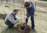 Baumpflanzung Bad Frankenhausen (Foto: Karl-Heinz Herrmann) Baumpflanzung Bad Frankenhausen (Foto: Karl-Heinz Herrmann)