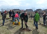 Baumpflanzung Bad Frankenhausen (Foto: Karl-Heinz Herrmann) Baumpflanzung Bad Frankenhausen (Foto: Karl-Heinz Herrmann)