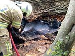 Angezünderter Baum im Schlosspark (Foto: S. Dietzel) Angezünderter Baum im Schlosspark (Foto: S. Dietzel)