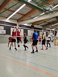 Volleyballturnier der WSG Franzberg (Foto: S.Siering)
