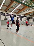 Volleyballturnier der WSG Franzberg (Foto: S.Siering)