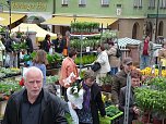 Pflanzenmarkt Sondershausen (Foto: Karl-Heinz Herrmann)