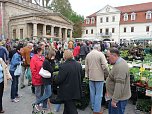 Pflanzenmarkt Sondershausen (Foto: Karl-Heinz Herrmann)