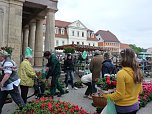 Pflanzenmarkt Sondershausen (Foto: Karl-Heinz Herrmann)