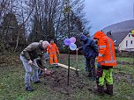 Pflanzaktion in Bebra (Foto: Stadt Sondershausen)