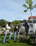 Pflanze deinen Strauch (Foto: Stadtjugendring Sondershausen)