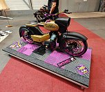 Peter Blei auf der Motorradmesse Erfurt (Foto: Peter Blei)