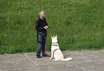 Therapie-Hunde am Stausee Kelbra (Foto: Ulrich Reinboth)