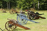 Kanonendonner auf der Pfalz Tilleda (Foto: agl) Kanonendonner auf der Pfalz Tilleda (Foto: agl)