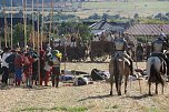 Nachstellung der Bauernschlacht bei Bad Frankenhausen (Foto: agl) Nachstellung der Bauernschlacht bei Bad Frankenhausen (Foto: agl)