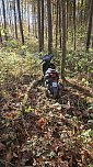 Motorroller im Wald gefunden (Foto: S. Dietzel)