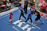 Boxen in der S&uuml;dharzgalerie (Foto: nnz-City Scout Sven G&auml;mkow)