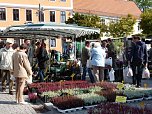 Herbstpflanzenmarkt (Foto: Karl-Heinz Herrmann)