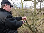 Baumschnittseminar (Foto: Karl-Heinz Herrmann)