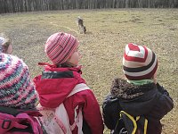 Bild: Bienchen unterwegs