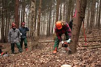 Motorsägenlehrgang im Forstamt Oldisleben Bild: Motorsägenlehrgang im Forstamt Oldisleben