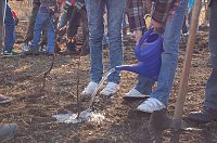 Bild: Baumpflanzung am Kyffh&auml;user
