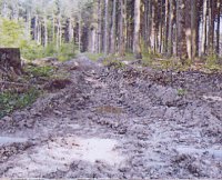 Pro Kyffhäuserwald Bild: Pro Kyffhäuserwald