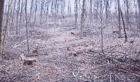 Pro Kyffhäuserwald Bild: Pro Kyffhäuserwald