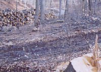 Pro Kyffhäuserwald Bild: Pro Kyffhäuserwald