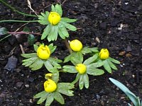 Frühling angekommen Bild: Frühling angekommen