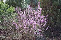 Frühling angekommen Bild: Frühling angekommen