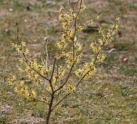 Frühling angekommen Bild: Frühling angekommen
