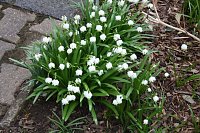 Frühling angekommen Bild: Frühling angekommen