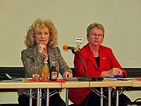 Regionalkonferenz Die Linke Bild: Regionalkonferenz Die Linke