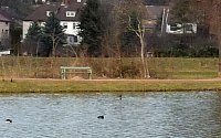 Bild: B&auml;nke im Schlosspark