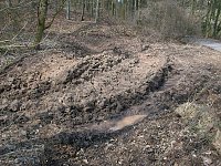 Waldgang am Possen Bild: Waldgang am Possen
