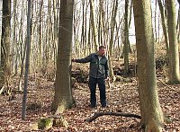 Waldgang am Possen Bild: Waldgang am Possen
