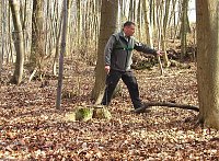 Waldgang am Possen Bild: Waldgang am Possen