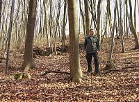 Waldgang am Possen Bild: Waldgang am Possen