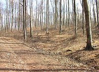 Waldgang am Possen Bild: Waldgang am Possen